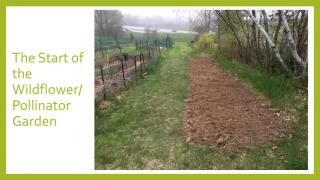 North Hampton Community Gardens