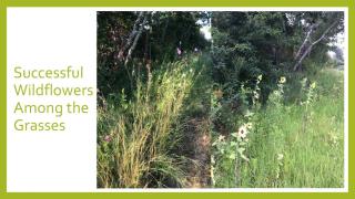 North Hampton Community Gardens