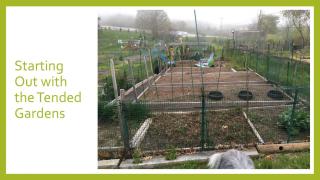 North Hampton Community Gardens