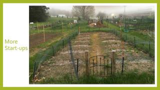 North Hampton Community Gardens