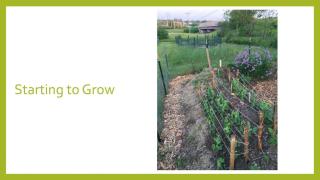 North Hampton Community Gardens